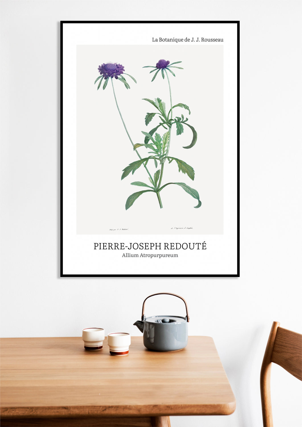 Obraz Design Allium Atropurpureum, Redoute Vintage do Salonu