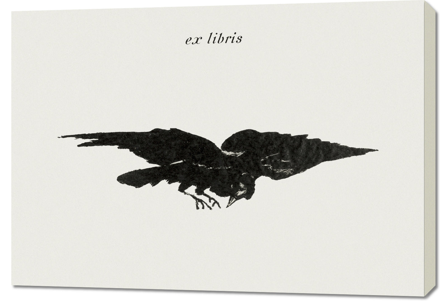 Obraz Flying Raven, Édouard Manet Vintage do Salonu