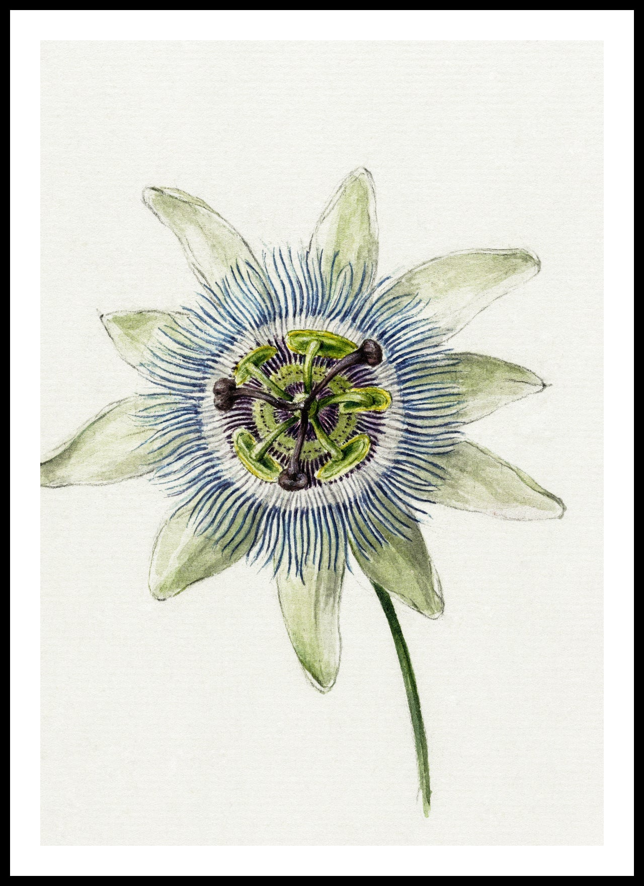 Plakat Passion Flower, Jean Bernard Vintage do Salonu