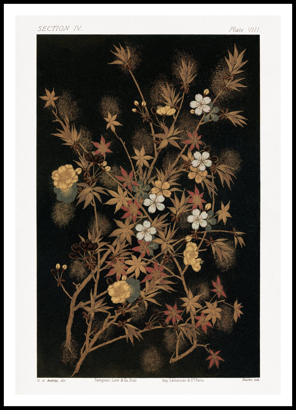 Plakat Japońskie Jesienne Kwiaty, G.A. Audsley do Salonu