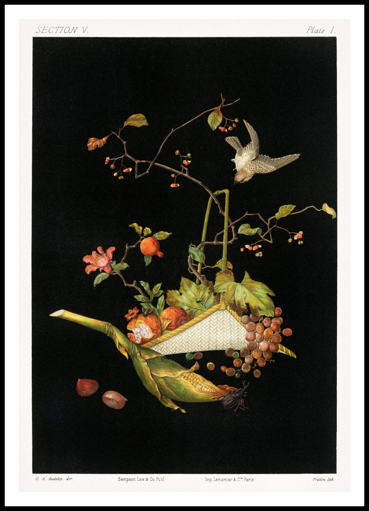 Plakat Japońska Martwa Natura, G.A. Audsley do Salonu