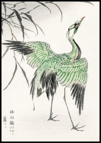 Demoiselle Crane - Elegancja Japońskiej Sztuki