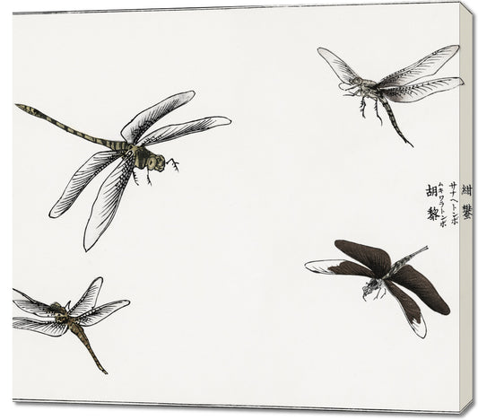 Obraz  Ważki ilustracja Morimoto Toko Japoński Vintage do Salonu