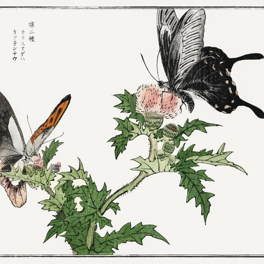 Plakat  Motyle i Kwiaty Ilustracja Morimoto Toko Japoński Vintage