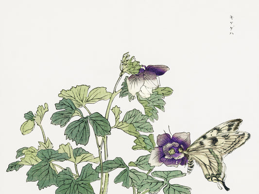 Plakat  Motyl z Kwiatem Morimoto Toko Japoński Vintage do Salonu