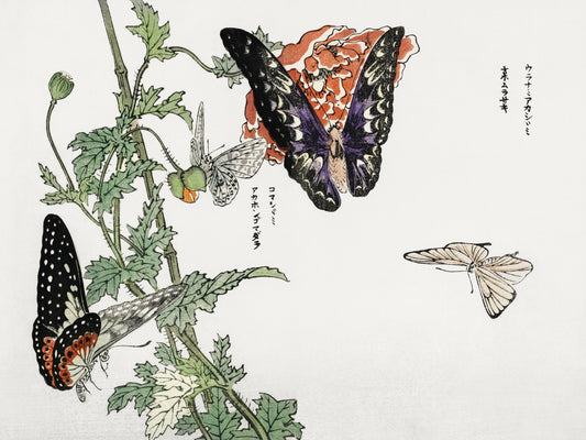 Plakat  Motyle i Roślina Morimoto Toko Japoński Vintage do Salonu