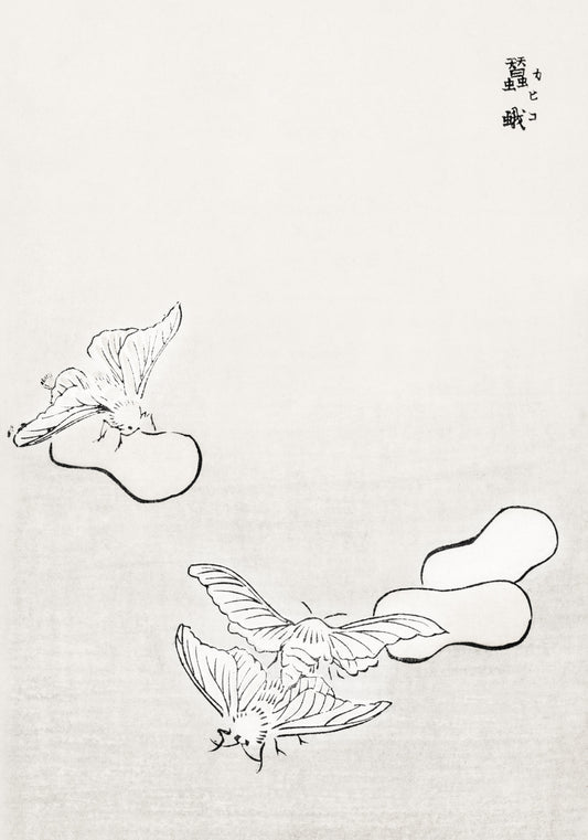 Plakat  Ćmy Ilustracja Morimoto Toko Japoński Vintage do Salonu