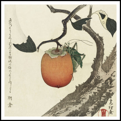 Plakat  Grasshopper and Persimmon, Hokusai Vintage do Salonu