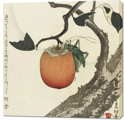 Obraz  Grasshopper and Persimmon, Hokusai Vintage do Salonu