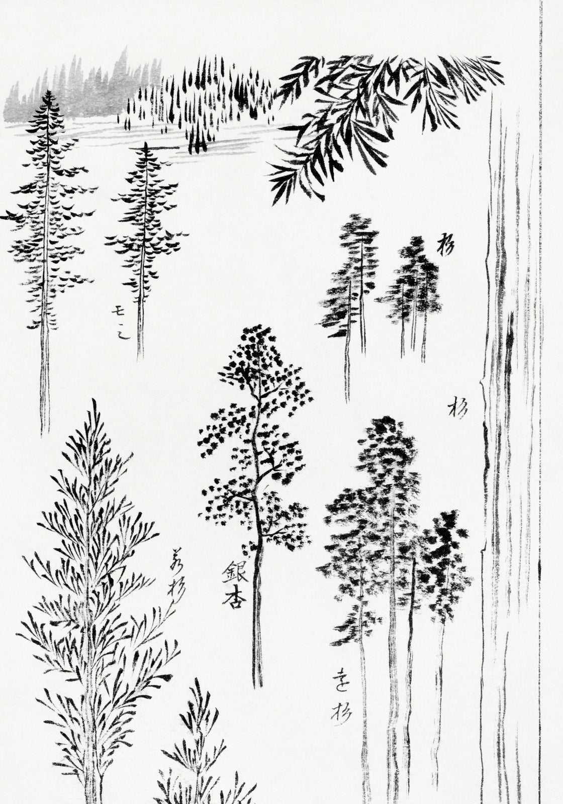 Plakat  Pine Trees, Hokusai Japoński Vintage do Salonu