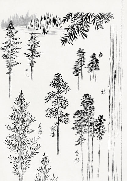 Plakat  Pine Trees, Hokusai Japoński Vintage do Salonu