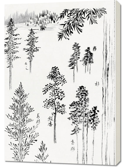 Obraz  Pine Trees, Hokusai Japoński Vintage do Salonu