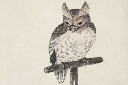 Plakat  Owl 2, Hokusai Japoński Vintage do Salonu