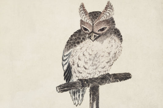 Plakat  Owl 2, Hokusai Japoński Vintage do Salonu