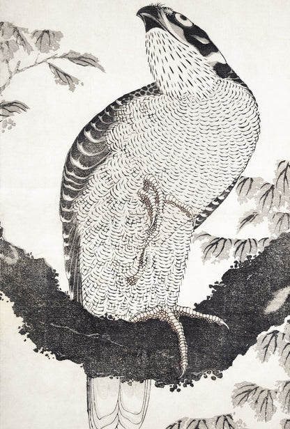 Plakat  Bird, Hokusai Japoński Vintage do Salonu