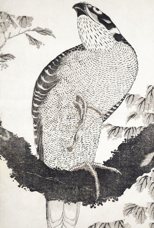 Plakat  Bird, Hokusai Japoński Vintage do Salonu