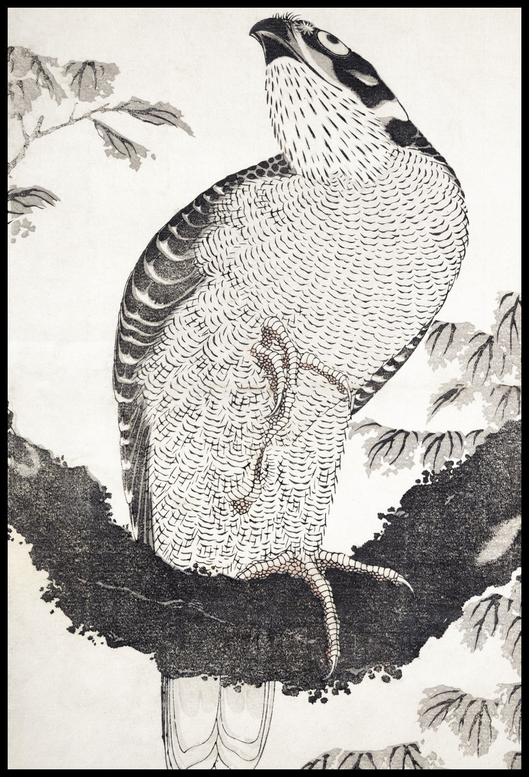 Plakat  Bird, Hokusai Japoński Vintage do Salonu