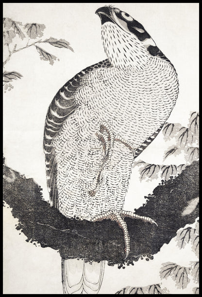 Plakat  Bird, Hokusai Japoński Vintage do Salonu
