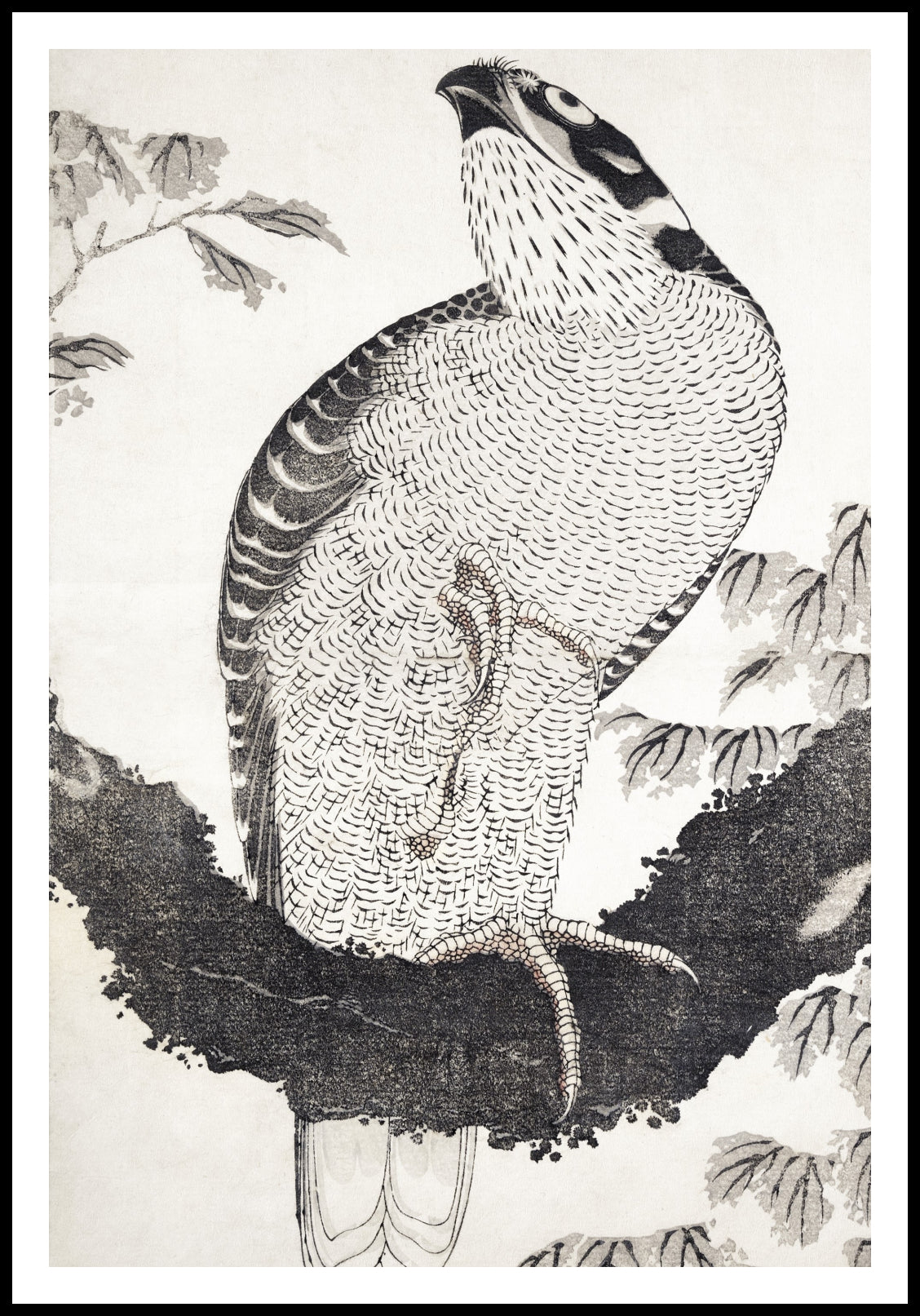Plakat  Bird, Hokusai Japoński Vintage do Salonu