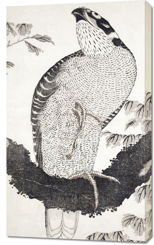Obraz  Bird, Hokusai Japoński Vintage do Salonu