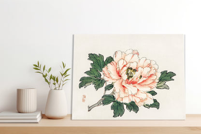 Obraz  Pink Rose,  Kōno Bairei Japoński Vintage do Salonu