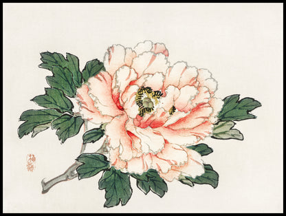 Plakat  Pink Rose,  Kōno Bairei Japoński Vintage do Salonu