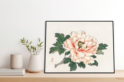 Plakat  Pink Rose,  Kōno Bairei Japoński Vintage do Salonu