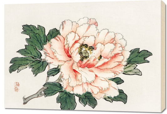 Obraz  Pink Rose,  Kōno Bairei Japoński Vintage do Salonu