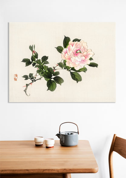 Obraz  Pink Rose 2, Kōno Bairei Japoński Vintage do Salonu