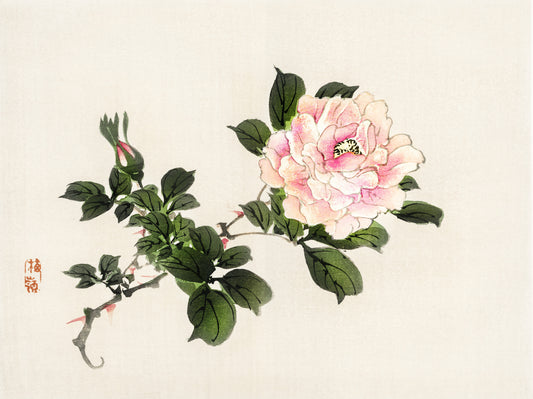 Plakat  Pink Rose 2, Kōno Bairei Japoński Vintage do Salonu