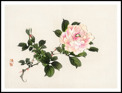 Plakat  Pink Rose 2, Kōno Bairei Japoński Vintage do Salonu