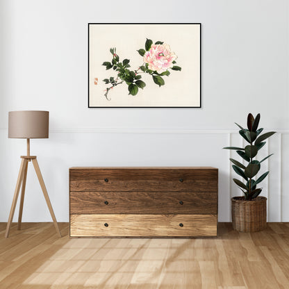 Plakat  Pink Rose 2, Kōno Bairei Japoński Vintage do Salonu