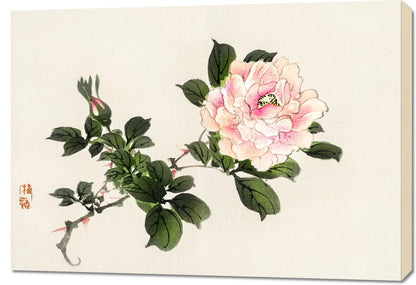 Obraz  Pink Rose 2, Kōno Bairei Japoński Vintage do Salonu