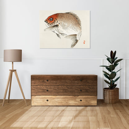Obraz  Tai Fish,  Kōno Bairei Japoński Vintage do Salonu