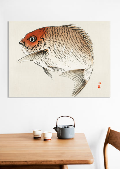 Obraz  Tai Fish,  Kōno Bairei Japoński Vintage do Salonu