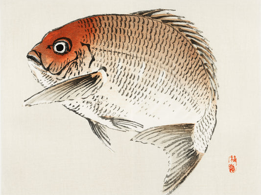 Plakat  Tai Fish,  Kōno Bairei Japoński Vintage do Salonu