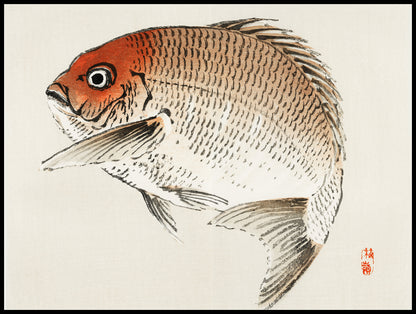 Plakat  Tai Fish,  Kōno Bairei Japoński Vintage do Salonu