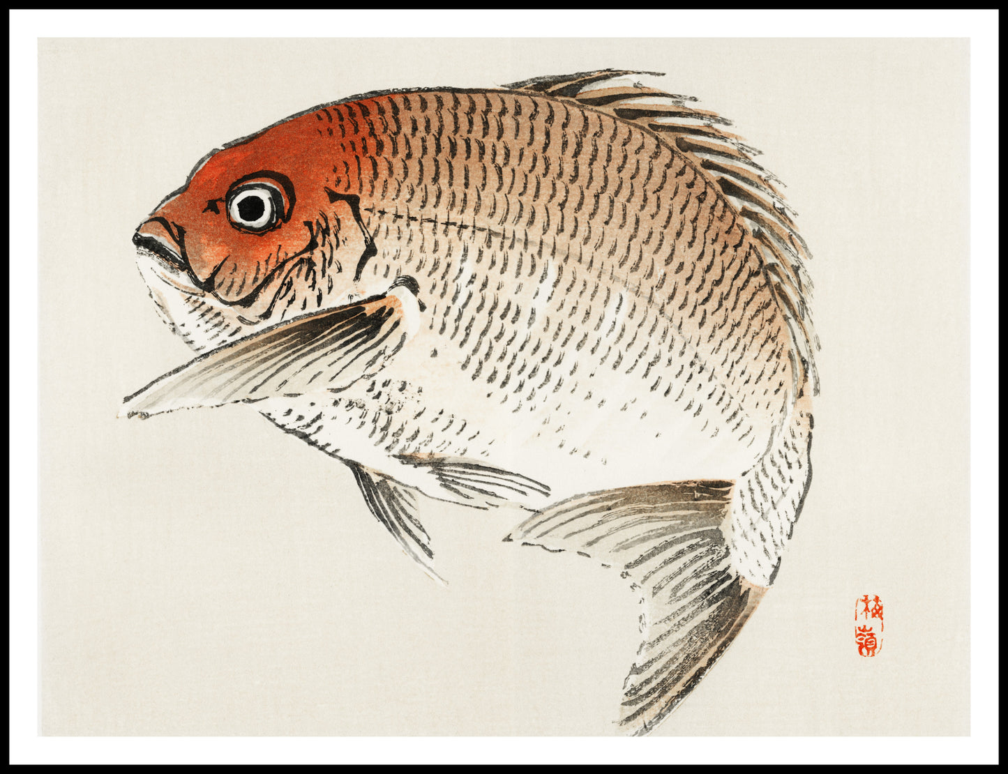 Plakat  Tai Fish,  Kōno Bairei Japoński Vintage do Salonu