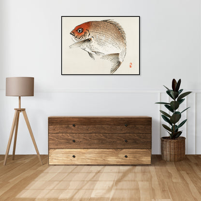 Plakat  Tai Fish,  Kōno Bairei Japoński Vintage do Salonu