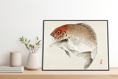 Plakat  Tai Fish,  Kōno Bairei Japoński Vintage do Salonu