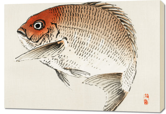 Obraz  Tai Fish,  Kōno Bairei Japoński Vintage do Salonu
