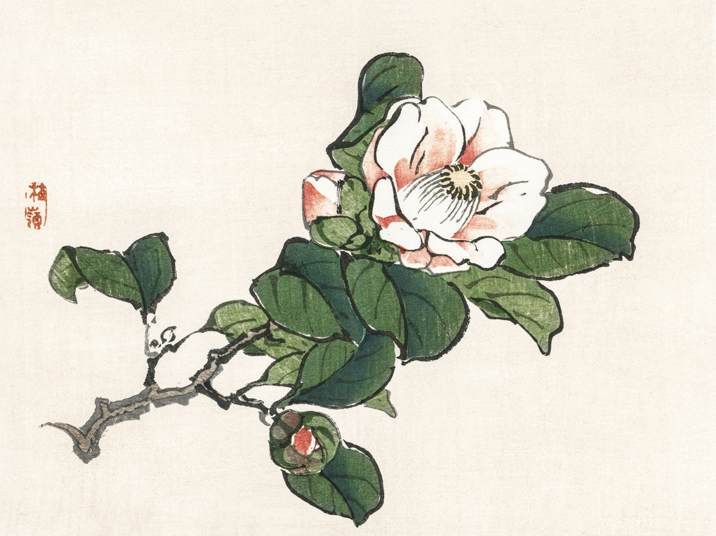 Plakat  Camelia, Kōno Bairei Japoński Vintage do Salonu