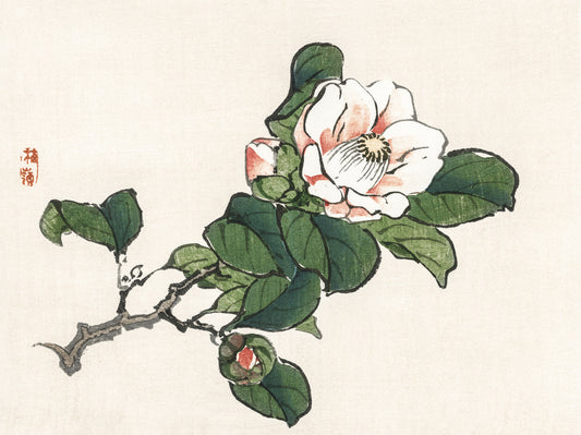 Plakat  Camelia, Kōno Bairei Japoński Vintage do Salonu
