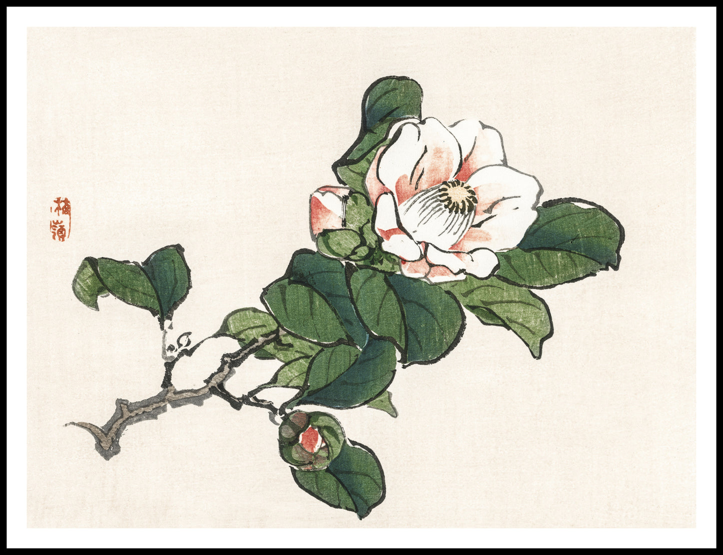 Plakat  Camelia, Kōno Bairei Japoński Vintage do Salonu