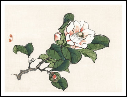 Plakat  Camelia, Kōno Bairei Japoński Vintage do Salonu