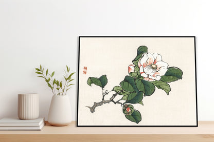 Plakat  Camelia, Kōno Bairei Japoński Vintage do Salonu