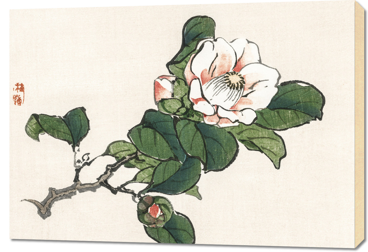 Obraz  Camelia, Kōno Bairei Japoński Vintage do Salonu