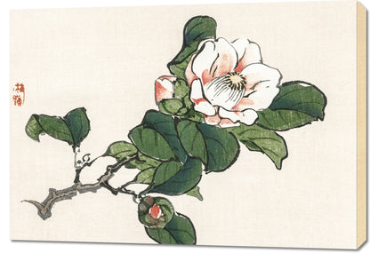 Obraz  Camelia, Kōno Bairei Japoński Vintage do Salonu