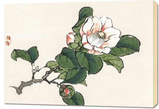 Obraz  Camelia, Kōno Bairei Japoński Vintage do Salonu
