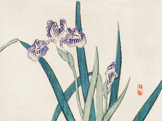 Plakat  Irises, Kōno Bairei Japoński Vintage do Salonu